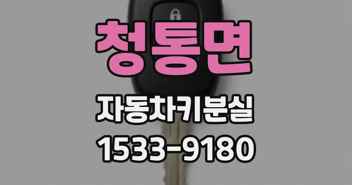 청통면 자동차키분실