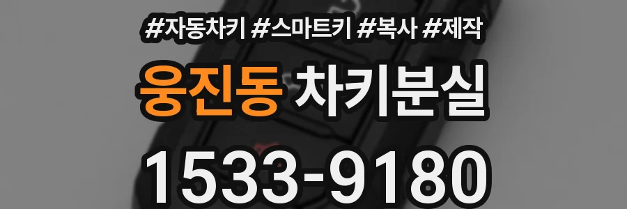 웅진동 차키분실