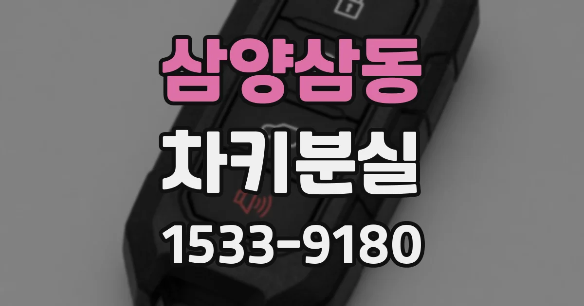 삼양삼동 차키분실