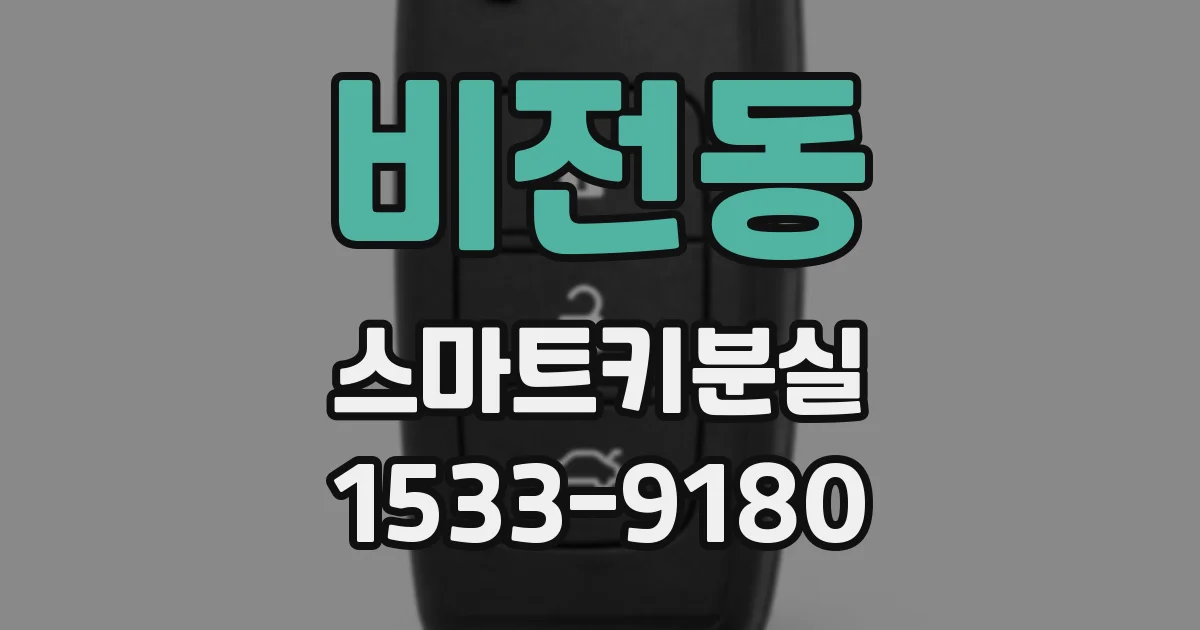비전동 스마트키분실