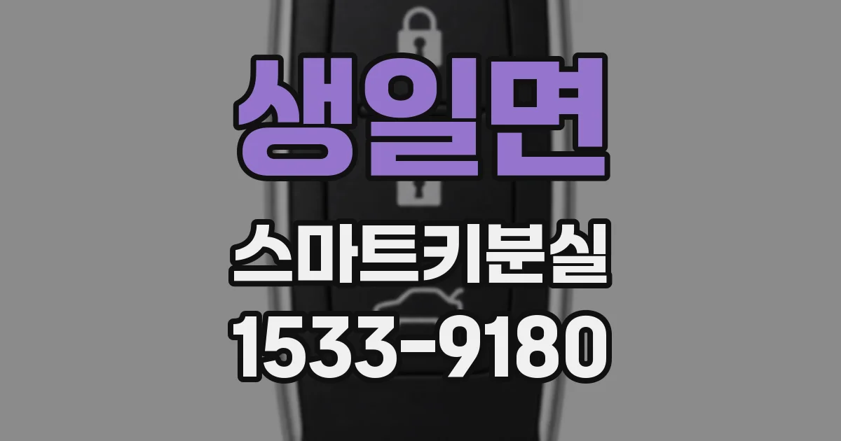 생일면 스마트키분실