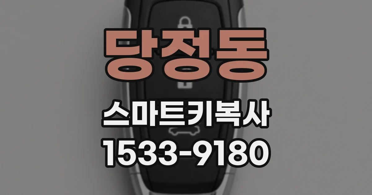 당정동 스마트키복사