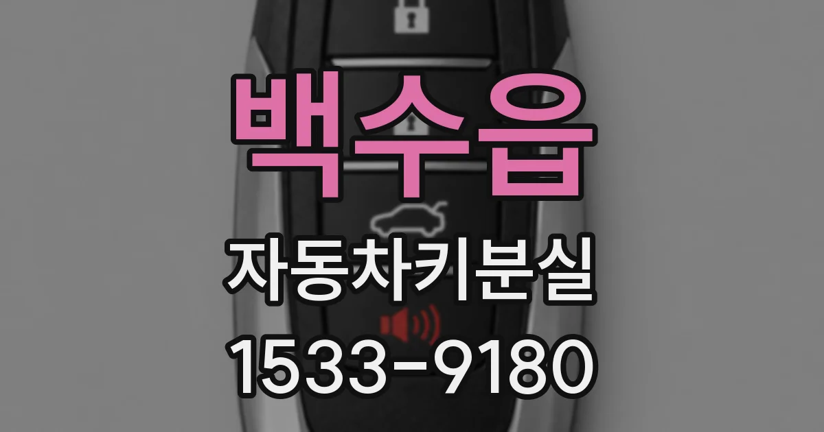 백수읍 자동차키분실