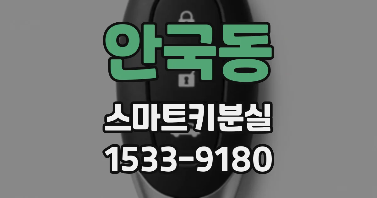안국동 스마트키분실