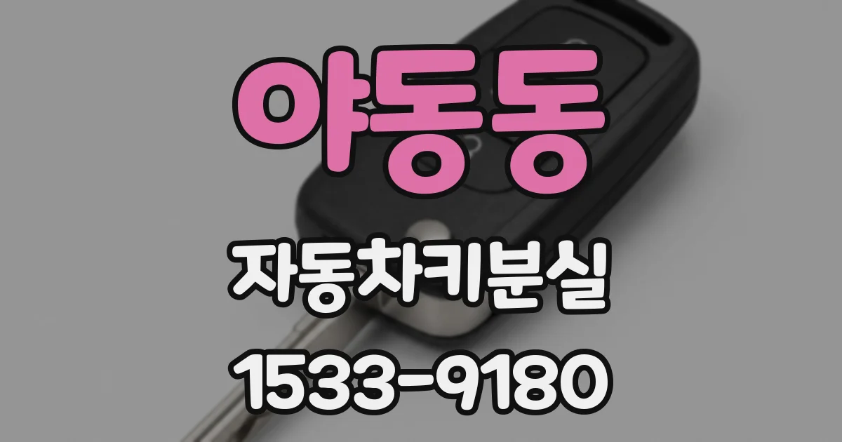 야동동 자동차키분실
