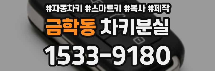 금학동 차키분실