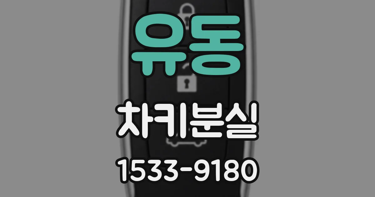 유동 차키분실