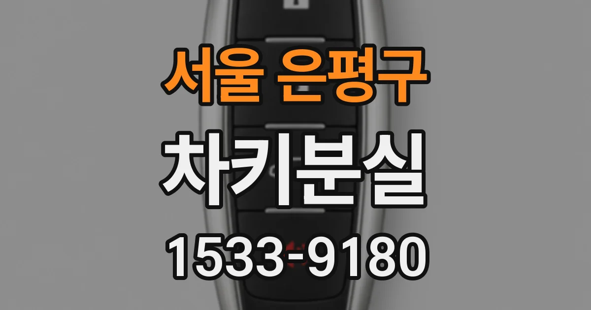 서울 은평구 차키분실