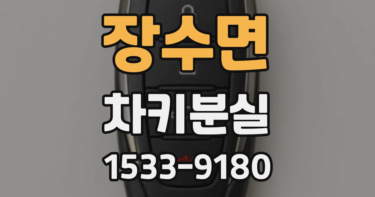 장수면 차키분실