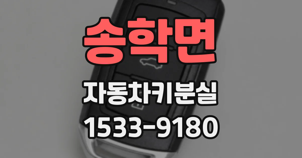 송학면 자동차키분실
