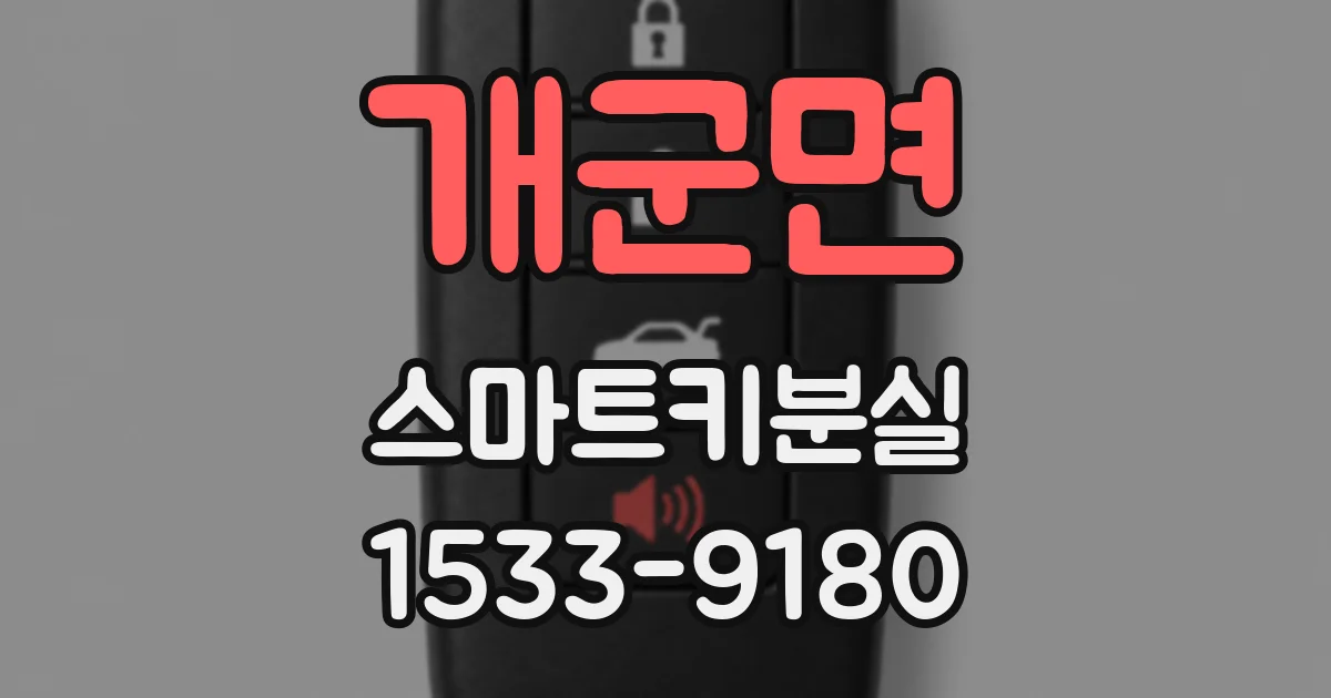 개군면 스마트키분실