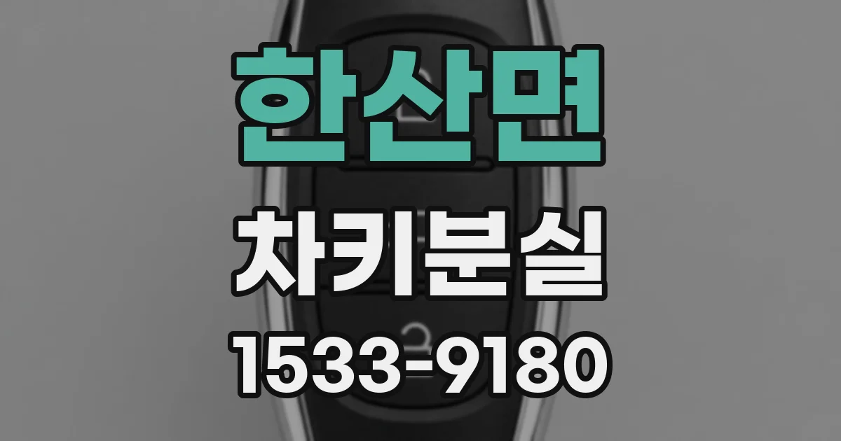 한산면 차키분실