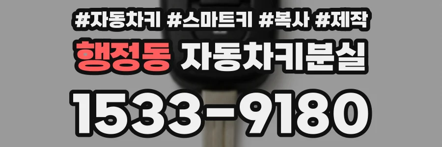 행정동 자동차키분실