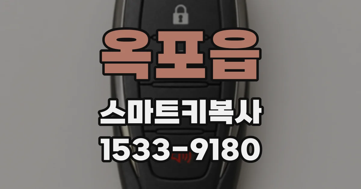 옥포읍 스마트키복사