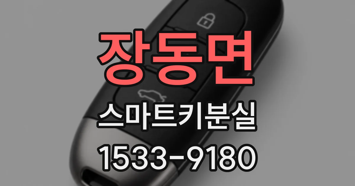 장동면 스마트키분실