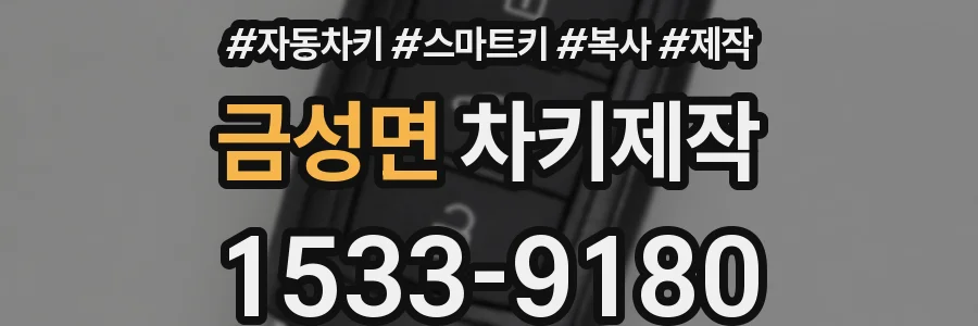 금성면 차키제작