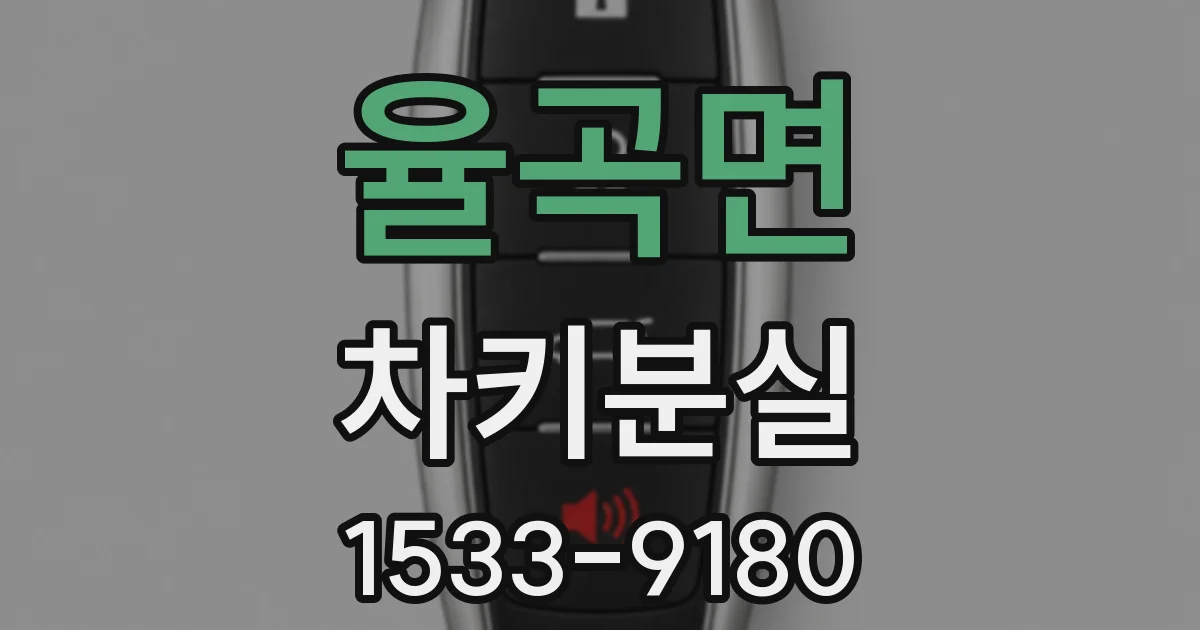 율곡면 차키분실