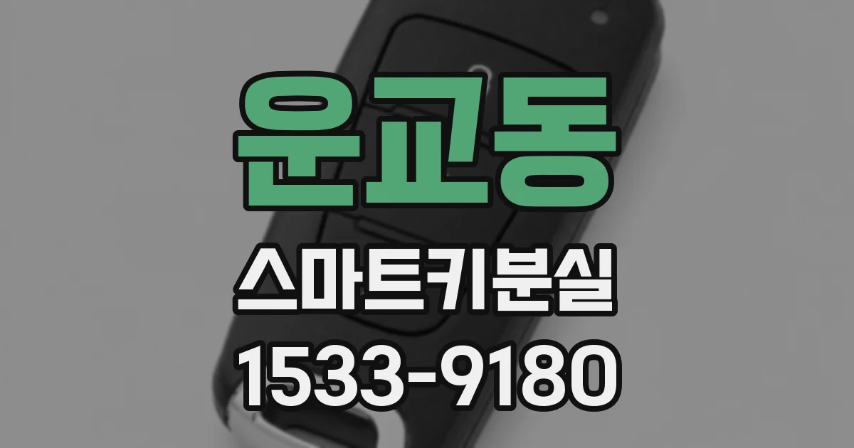 운교동 스마트키분실