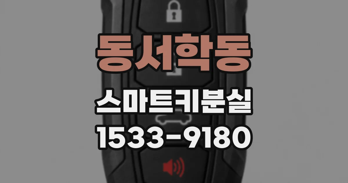 동서학동 스마트키분실