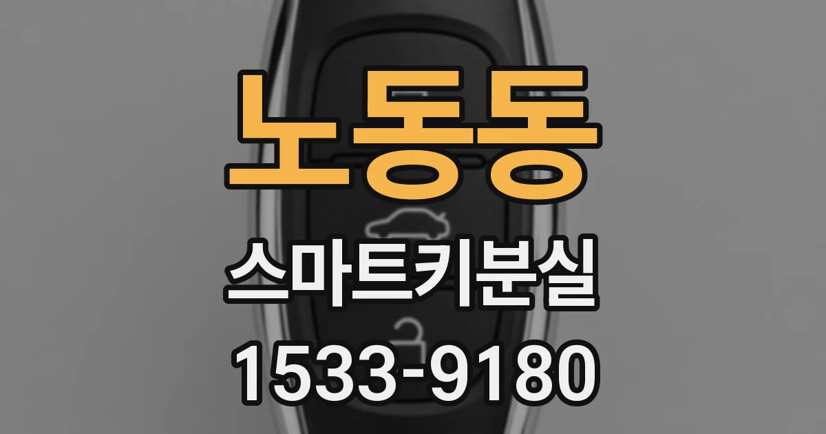 노동동 스마트키분실
