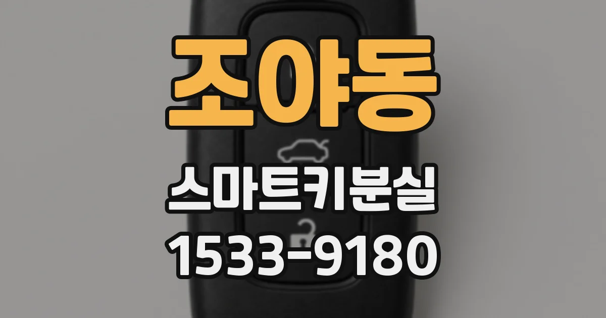 조야동 스마트키분실