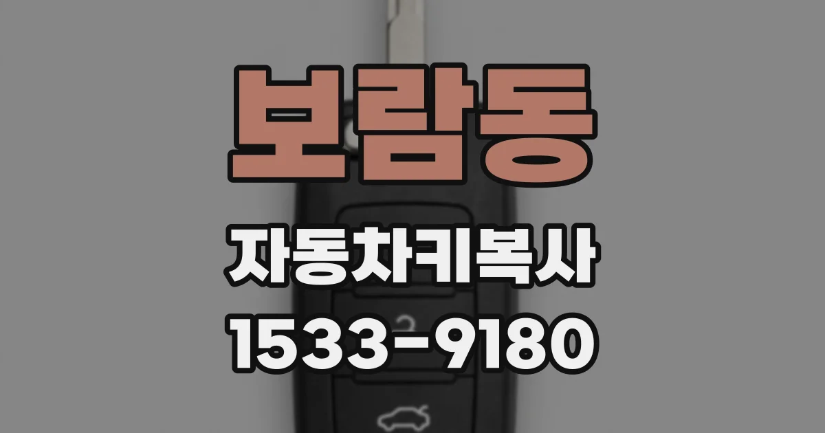 보람동 자동차키복사