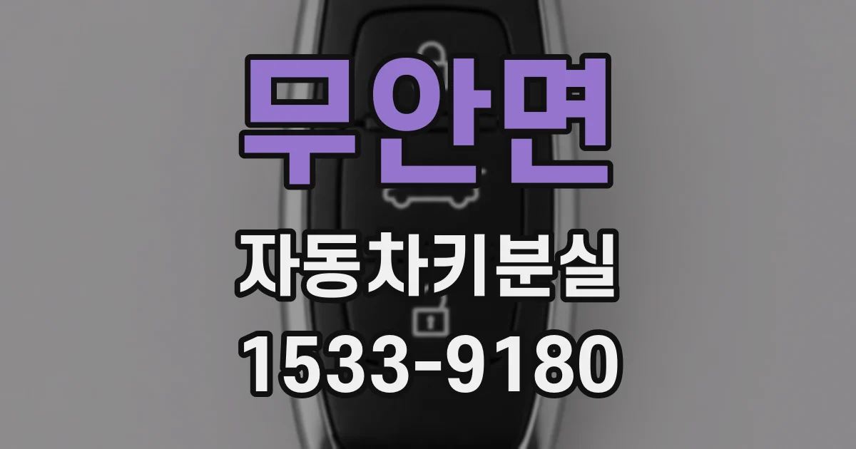 무안면 자동차키분실