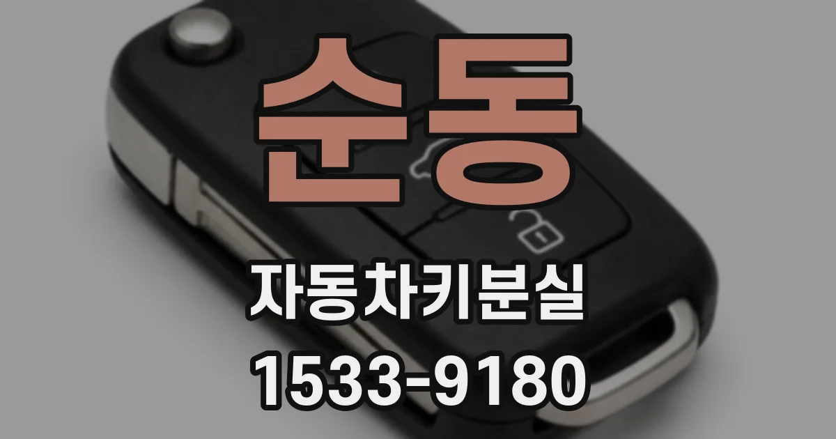 순동 자동차키분실