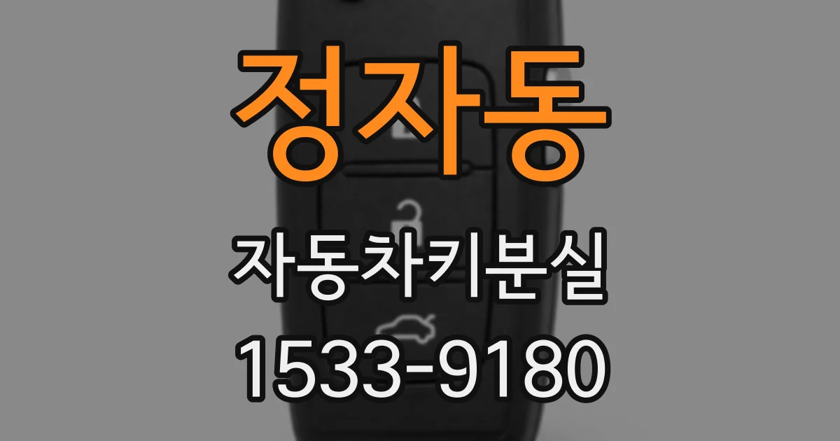 정자동 자동차키분실