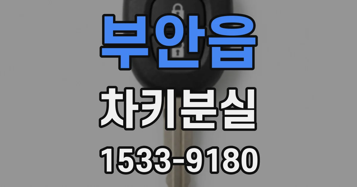 부안읍 차키분실