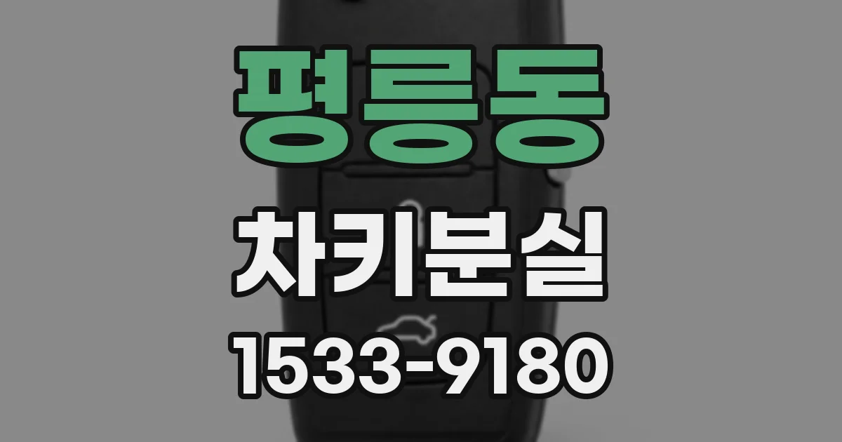 평릉동 차키분실