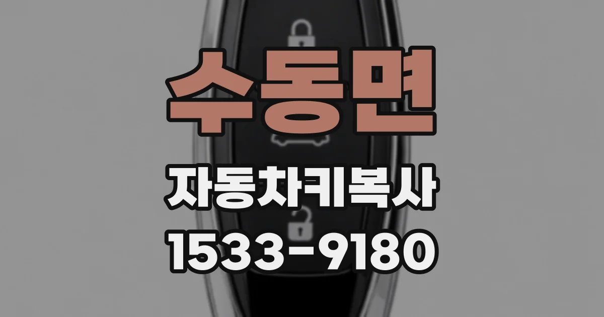 수동면 자동차키복사