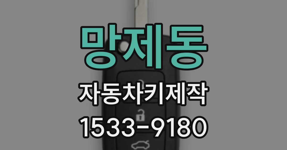 망제동 자동차키제작