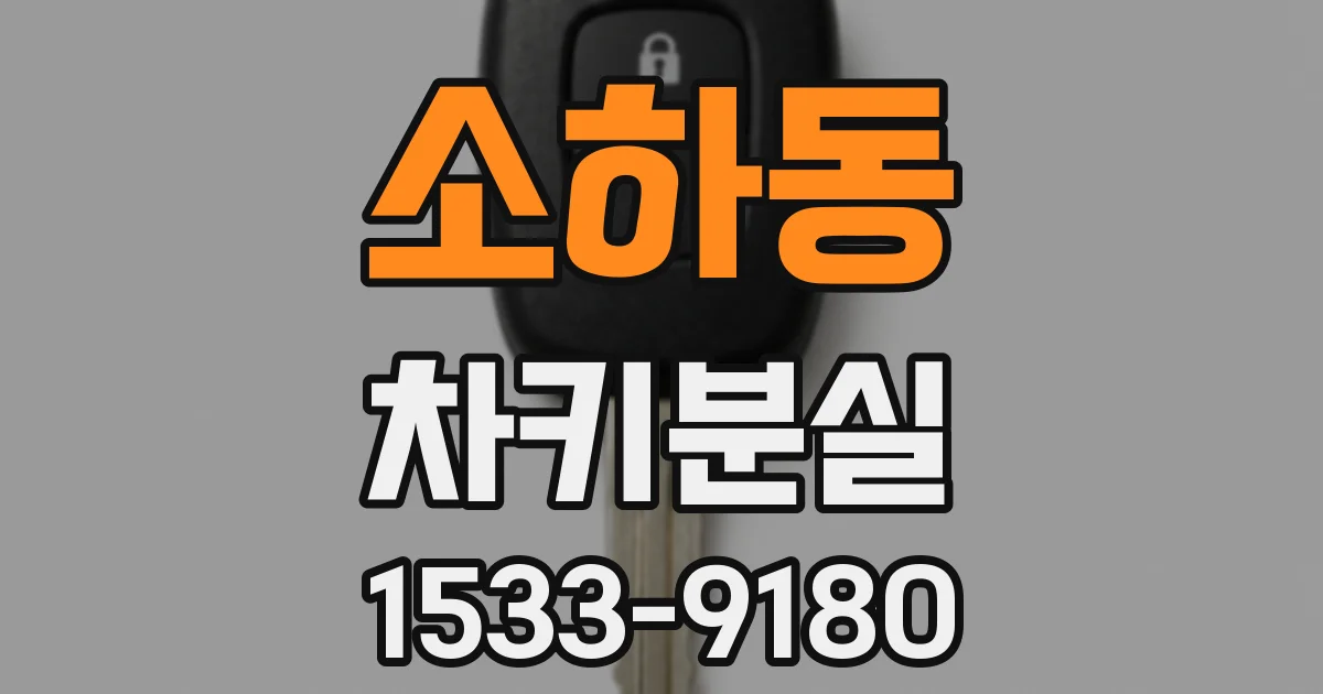 소하동 차키분실