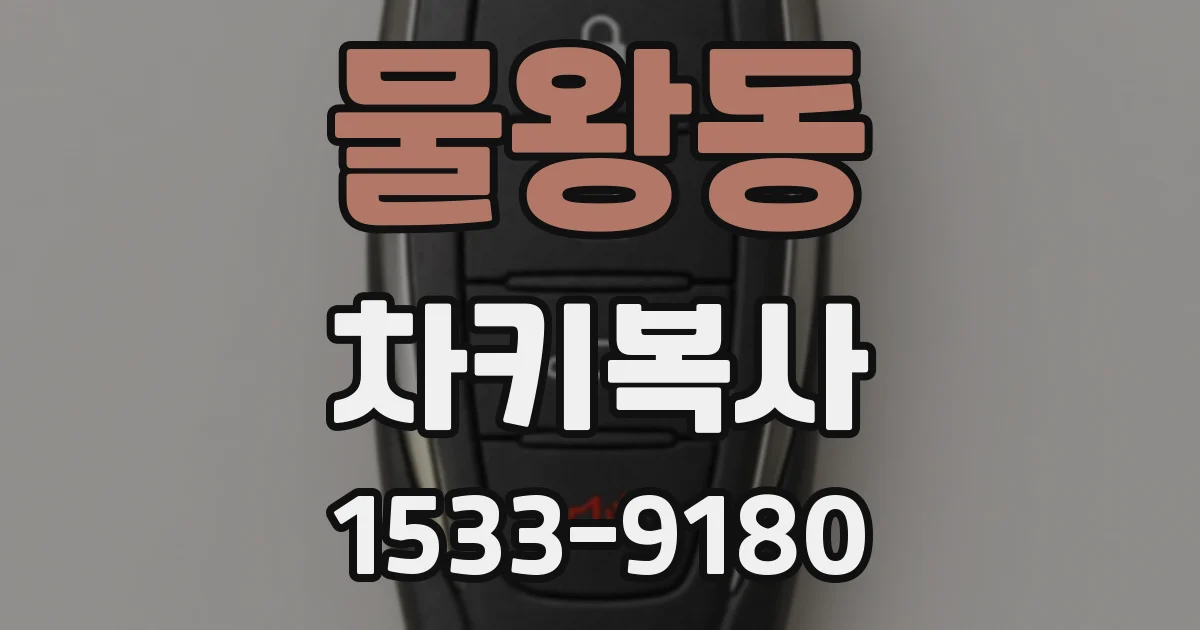 물왕동 차키복사