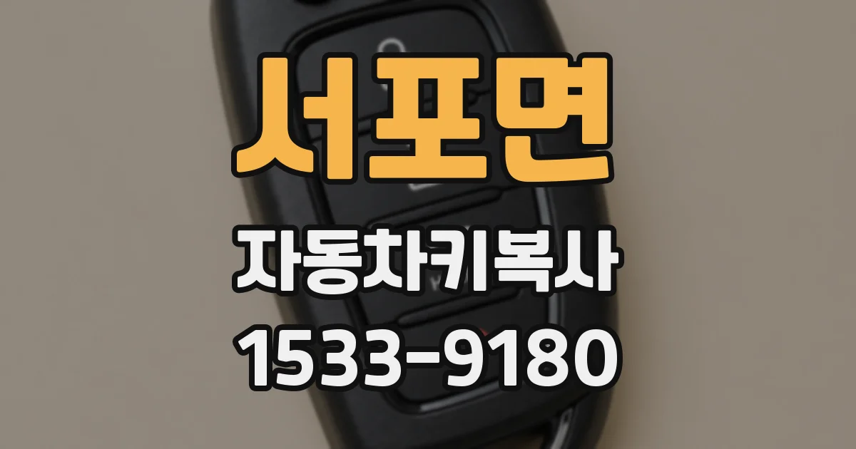 서포면 자동차키복사