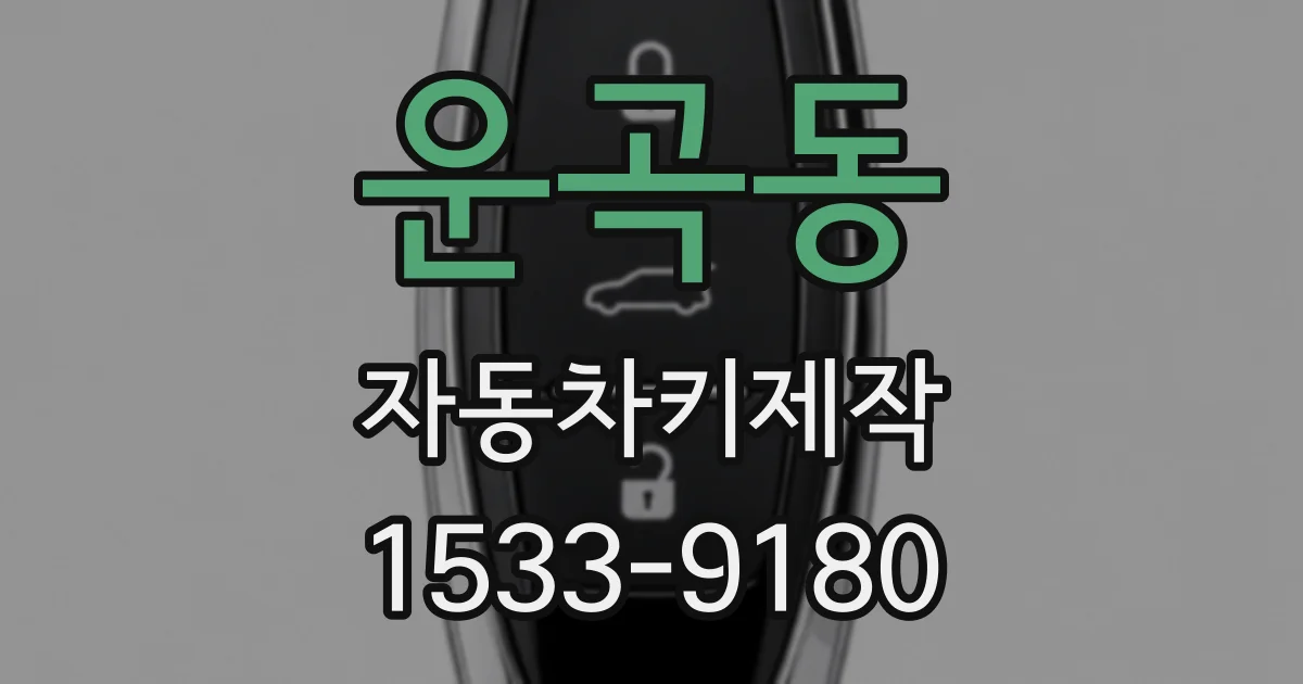 운곡동 자동차키제작