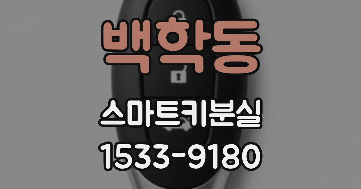 백학동 스마트키분실