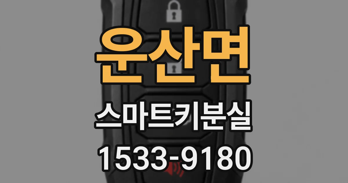 운산면 스마트키분실