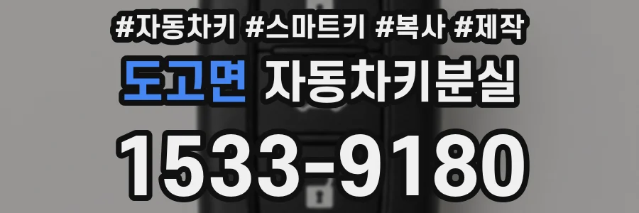 도고면 자동차키분실