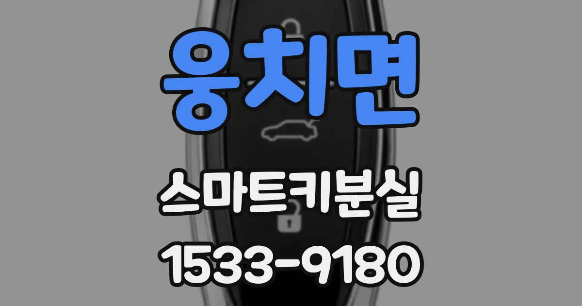 웅치면 스마트키분실
