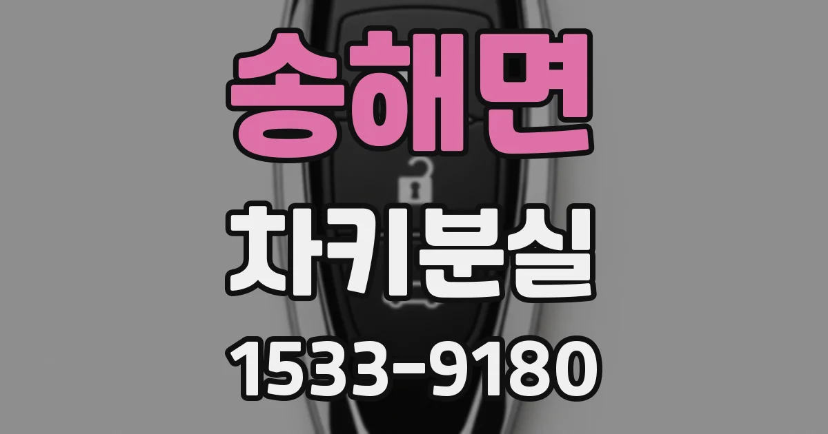 송해면 차키분실