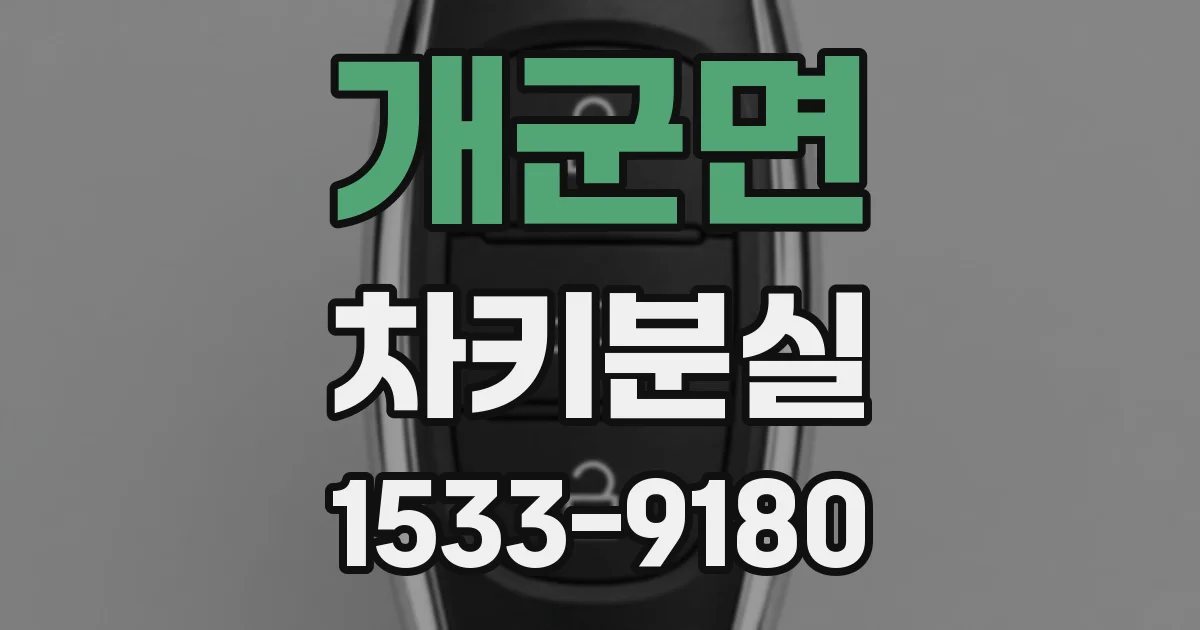 개군면 차키분실