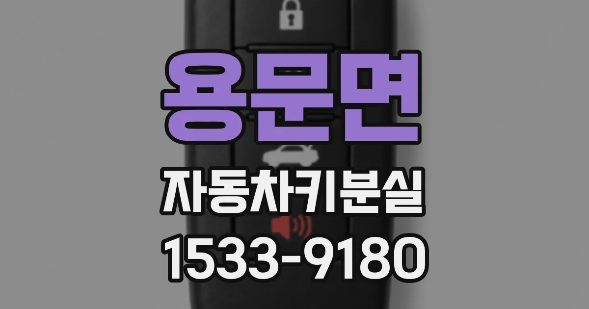 용문면 자동차키분실