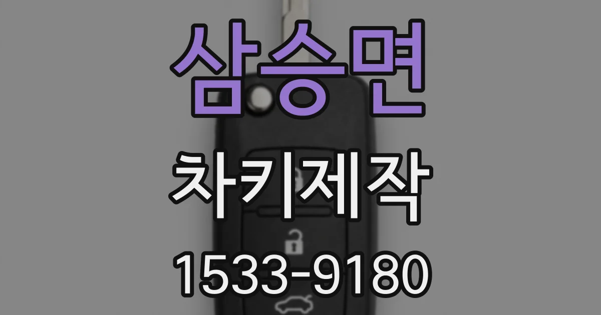 삼승면 차키제작