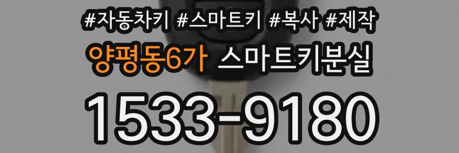 양평동6가 스마트키분실