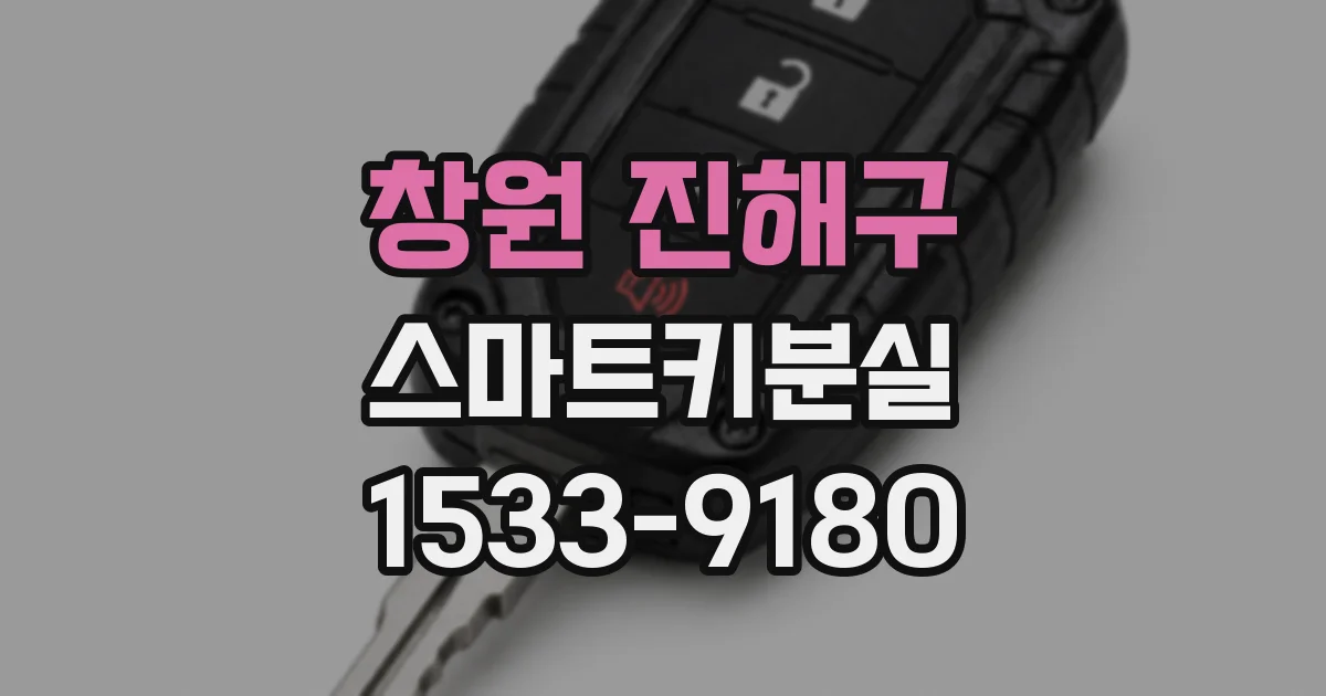 창원 진해구 스마트키분실