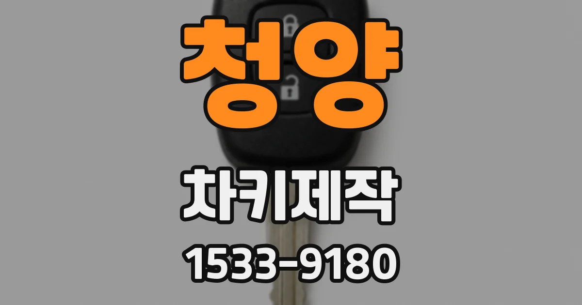 청양 차키제작