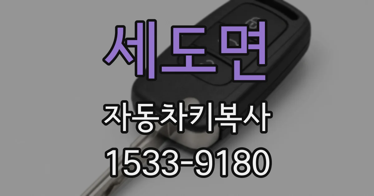 세도면 자동차키복사