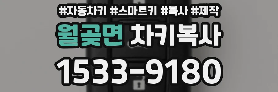 월곶면 차키복사